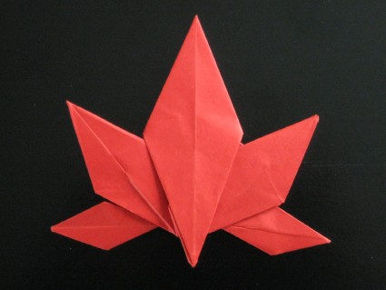 origami japanese maple leaf satoshi kamiya